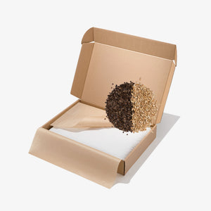 PACK Almohada Doble cáscara 45x60 + Funda - Almo - Hadas